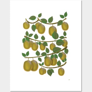 kiwi Fruit Posters and Art